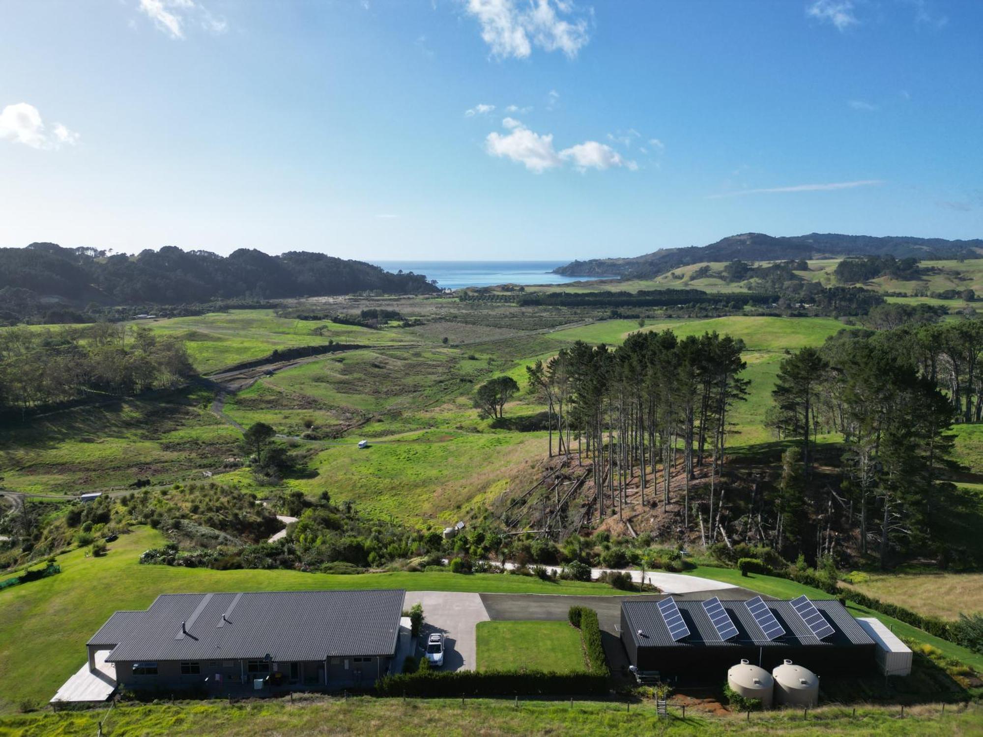 Hot Water Beach Lookout B&B Hahei Exteriér fotografie